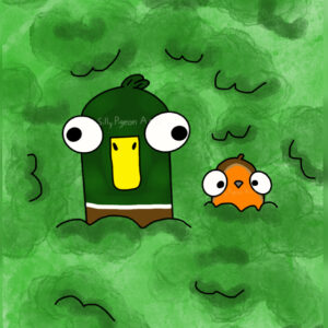 The Duck And The Robbin